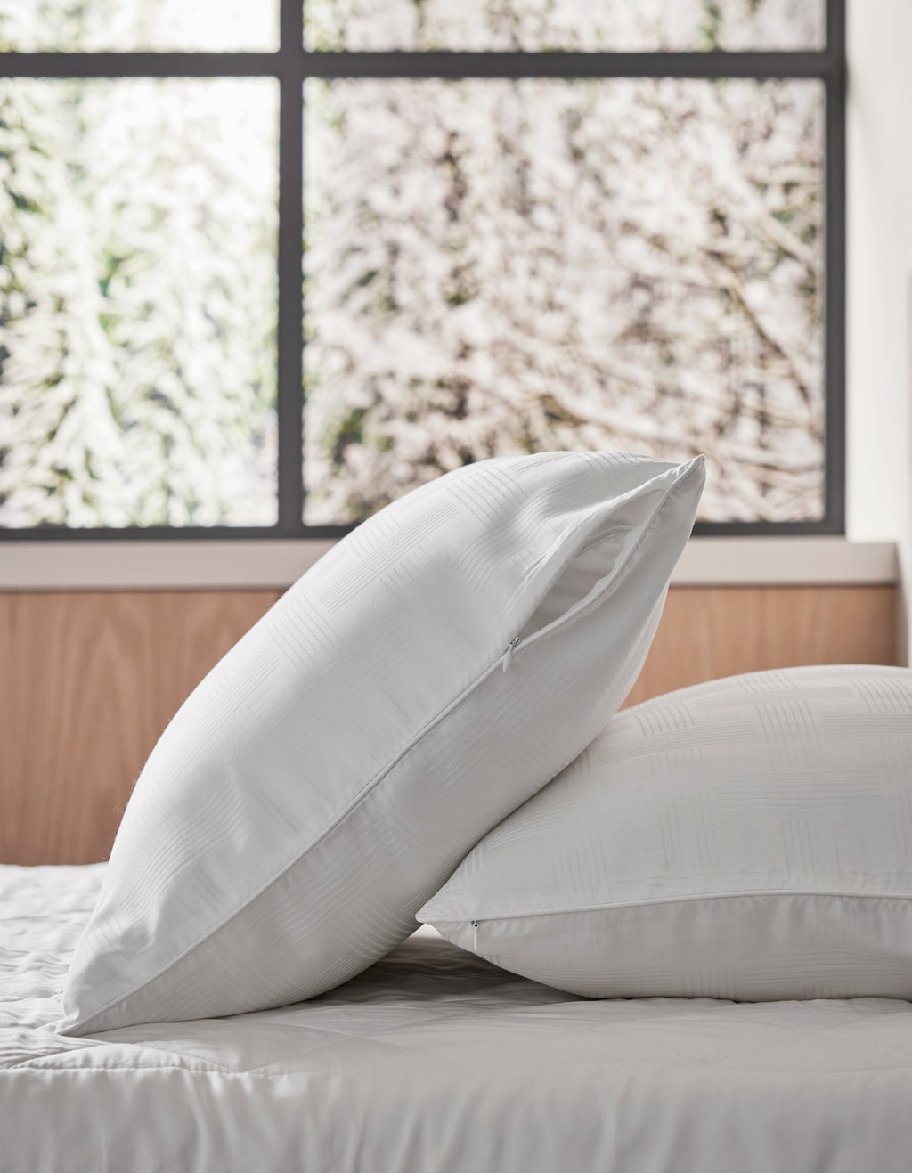 Pillow Protector