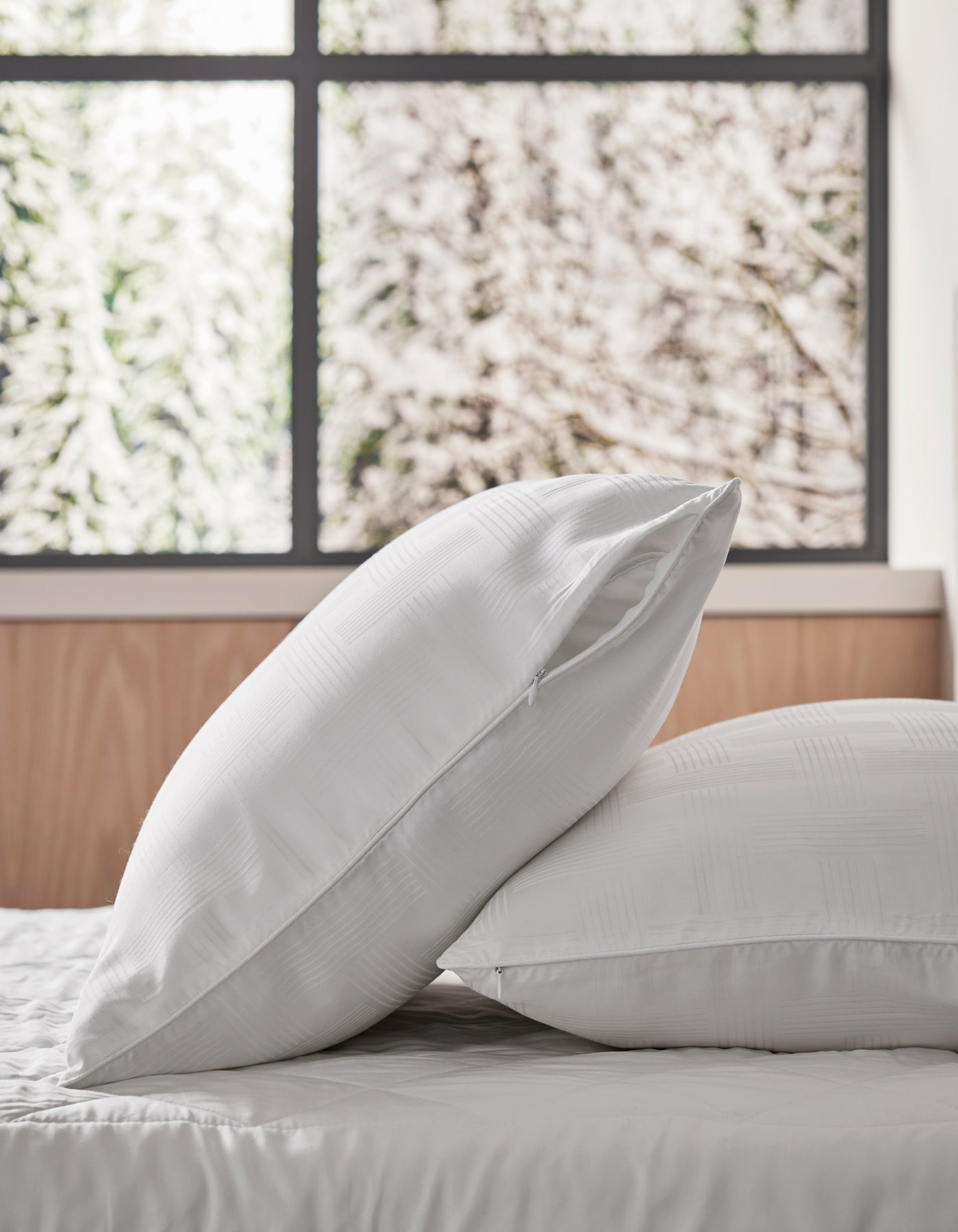Pillow Protector
